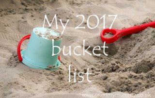 My 2017 bucket list