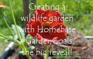 Creating a wildlife garden with Homebase #GardenGoals