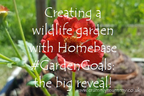 Creating a wildlife garden with Homebase #GardenGoals 