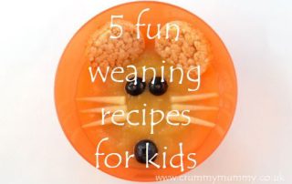 5 fun weaning recipes for kids