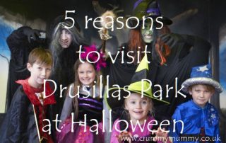 5 reasons to visit Drusillas Park at Halloween