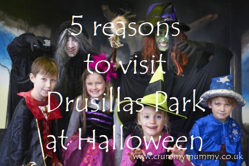 5 reasons to visit Drusillas Park at Halloween