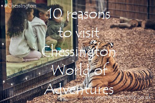Chessington World of Adventures