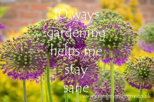 ways gardening helps