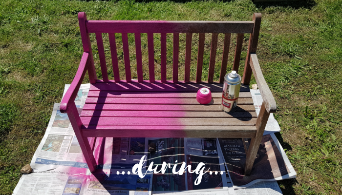 Pinty Plus Spray Paint, How To Spray Paint Wooden Garden Furniture
